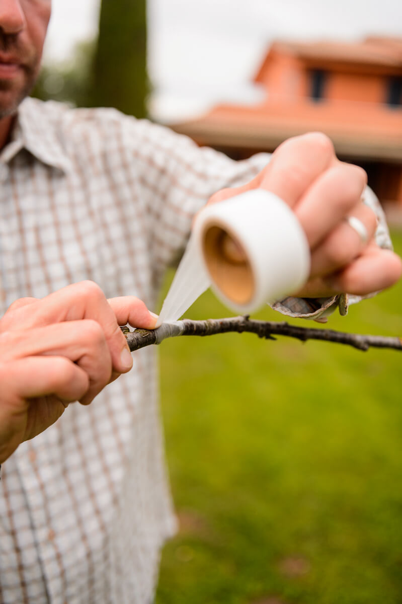 Stocker Buddy Tape nicht perforiert