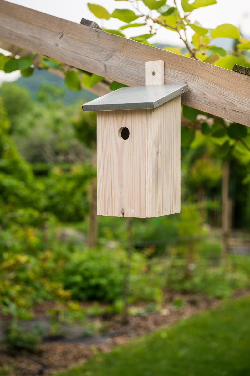 Stocker Fipsi Nistkasten