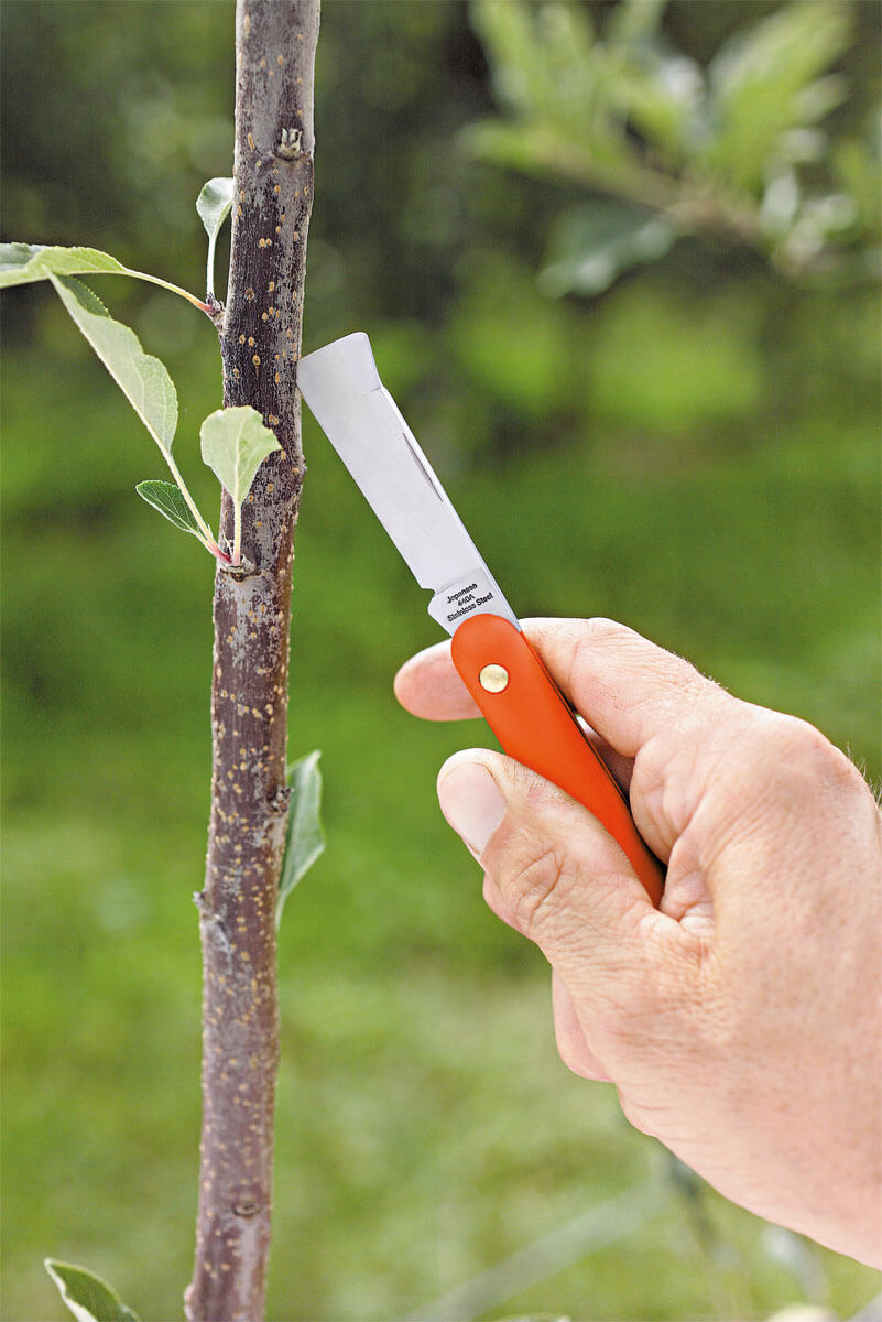 Stocker Okuliermesser 50