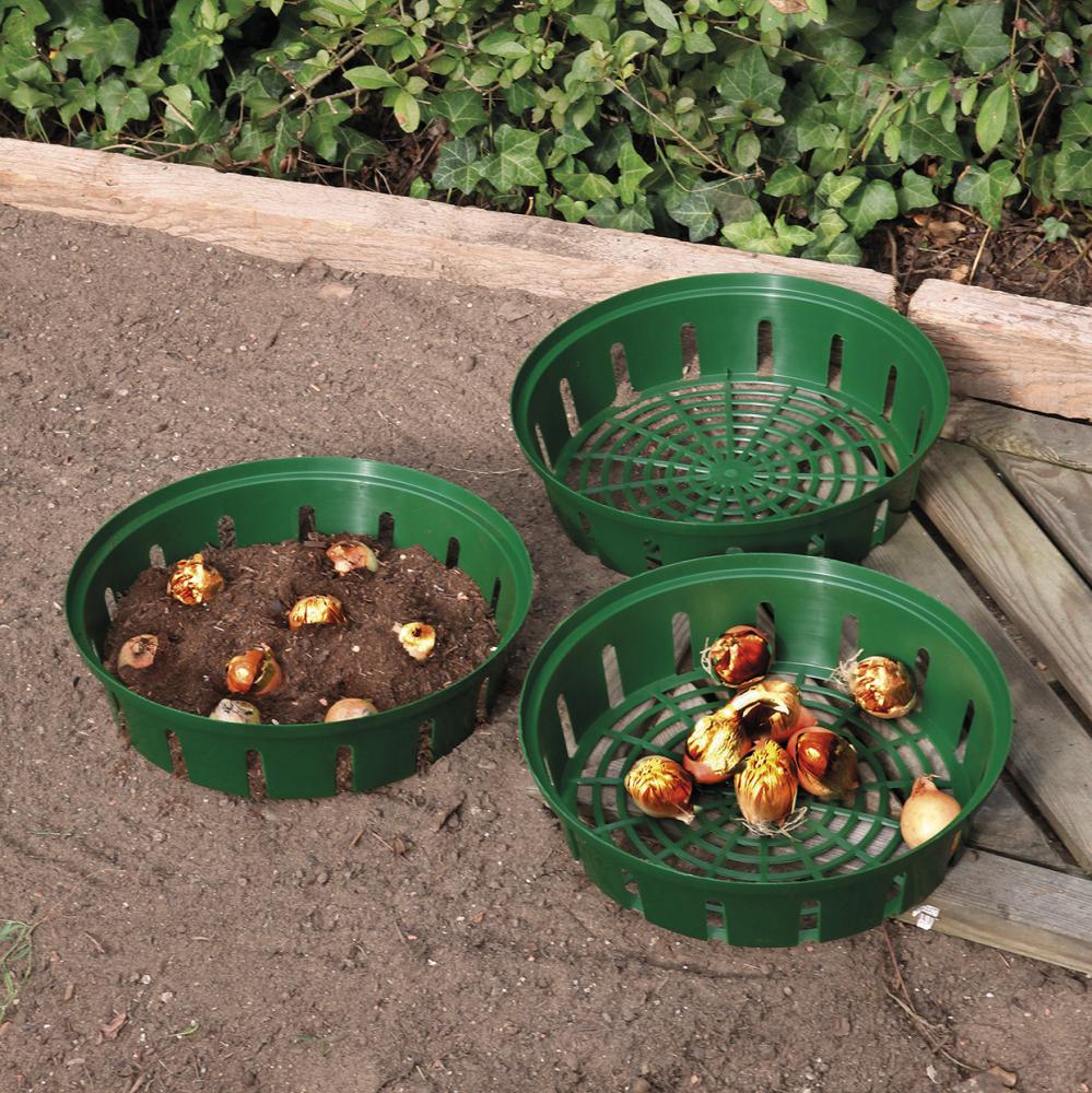Blumenzwiebel- Pflanzenschale 3er Set rund Floraworld