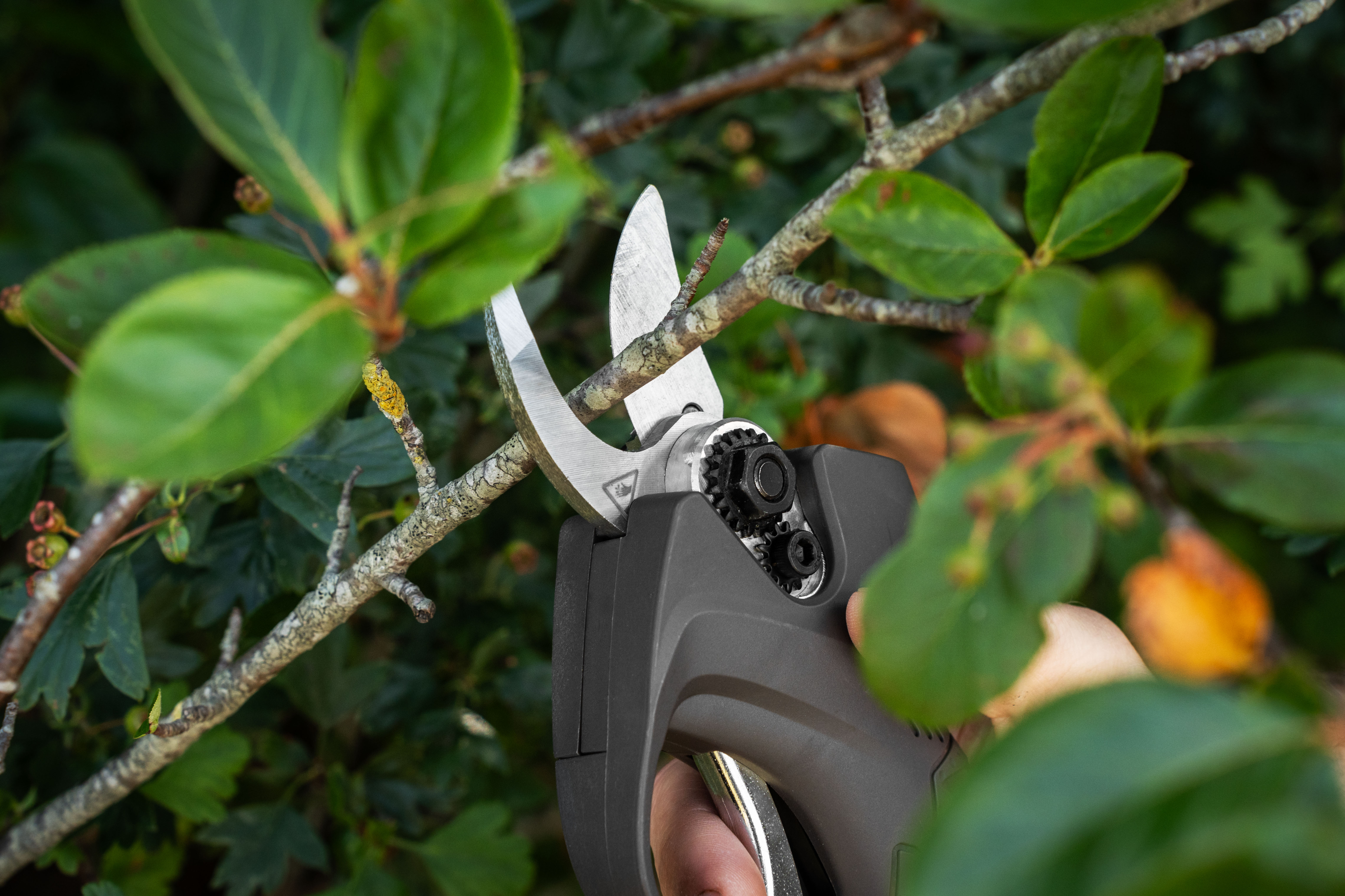 Texas Gartenschere GS1680Li mit 2 Batterien