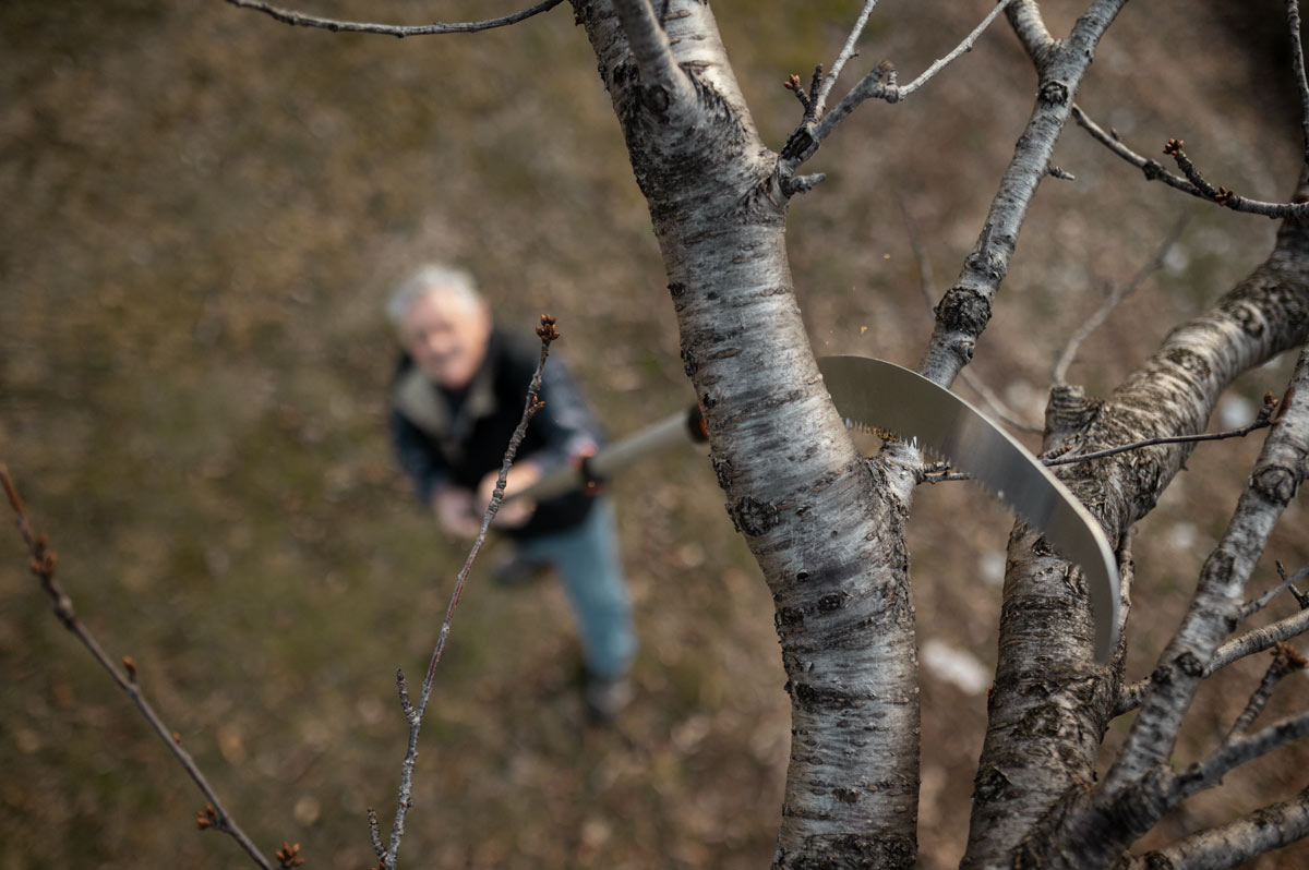 Stocker Säge Corvo 430 TC