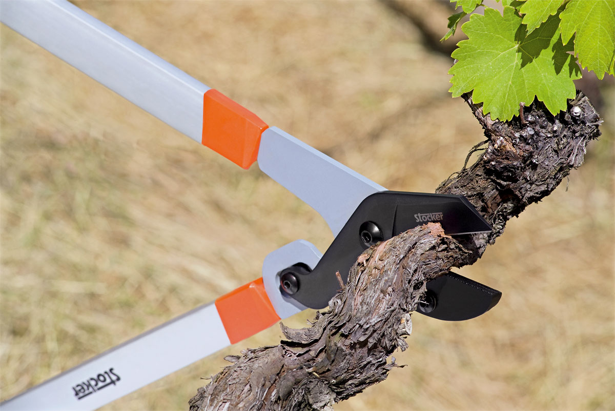 Stocker Astschere Profi 93 Amboss